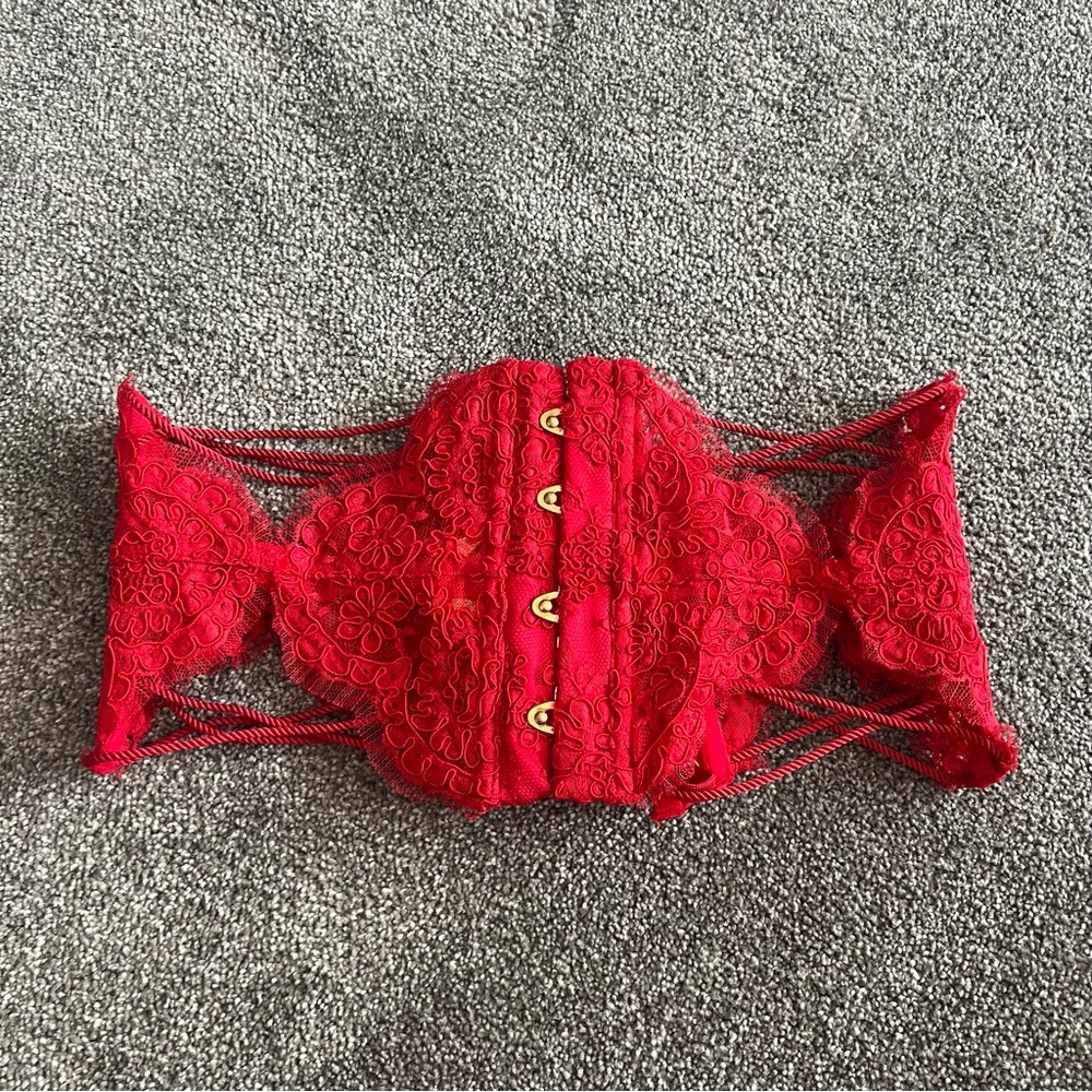 Agent Provocateur Waspie